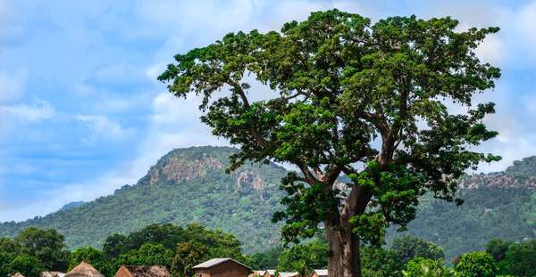 Destination Bénin : Kouandé , le trésor caché des bagana aux pieds de l' Atacora