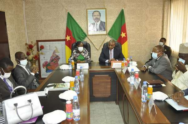 Conseil d'Administration de l'Organisation Africaine de la Propriété Intellectuelle : La Ministre Alimatou Shadiya ASSOUMAN en visite de travail à Yaoundé