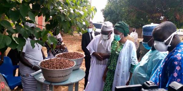 Commercialisation des amandes de karité au Bénin : Les ministres ASSOUMAN et DOSSOUHOUI lancent la Campagne 2020-2021 à Gogounou
