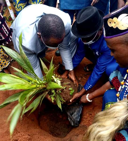 2e édition de la campagne nationale de plantation de plants de palmier à huile sélectionnés : La commune de Toffo abrite l'évènement