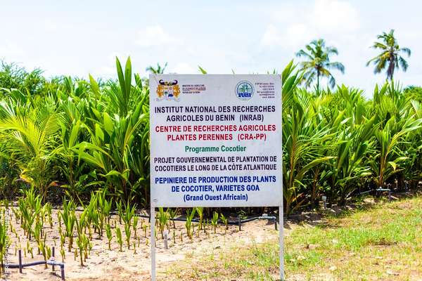 Aménagement de la zone balnéaire : Les pépinières de production de plants de cocotiers à Sèmè-Podji accueillent les ministres DOSSOUHOUI et TONATO