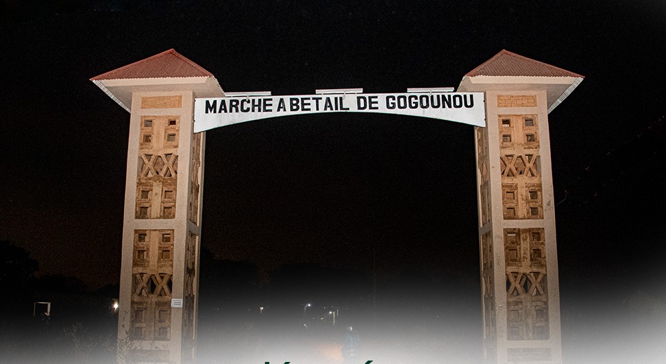 Destination Bénin : GOGOUNOU, FORTERESSE IMPRENABLE AU CŒUR DES COLLINES DE L’ALIBORI