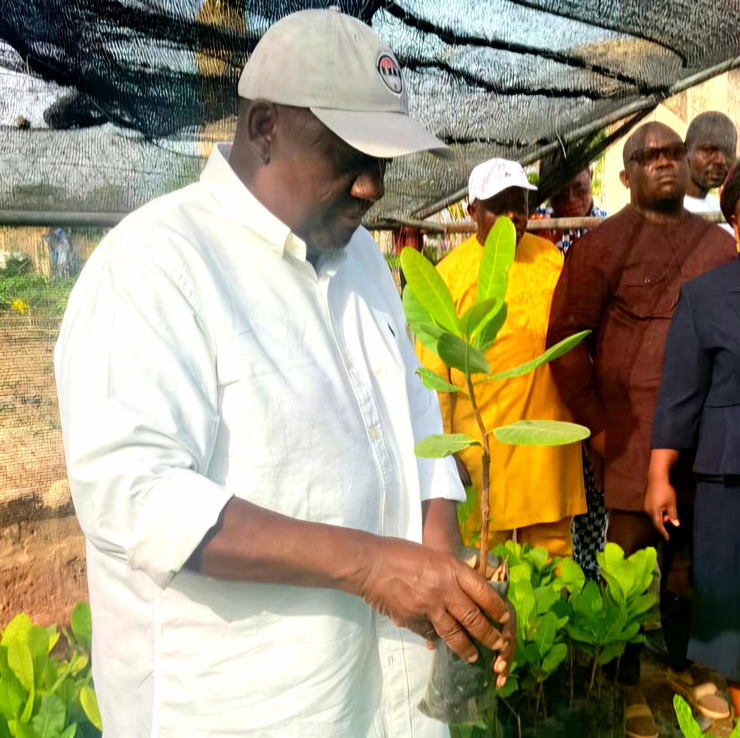 Campagne agricole 2026-2027 : Le Bénin vise une forte hausse des ...