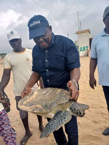 Lâcher de tortues marines à la plage Donaten d’Akpakpa : Le Ministre Gaston DOSSOUHOUI appelle à la protection des espèces menacées de disparition