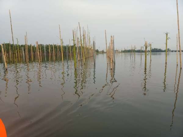 Descente du MAEP sur le lac Ahémé : La recolonisation du plan d’eau en espèces halieutiques annoncée