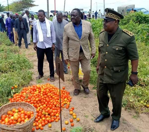 Fermeture des frontières nigérianes : Les ministres DOSSOUHOUI et ASSOUMAN échangent avec les acteurs du secteur agricole et apprécient les impacts