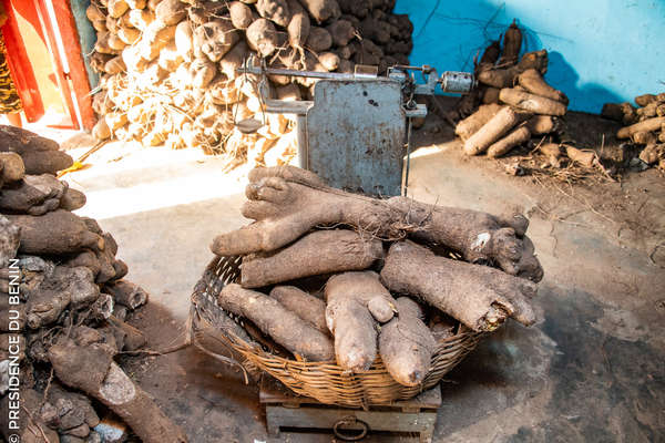 Destination Bénin : Glazoué, Terre des ignames, troisième plus grand marché du Bénin.