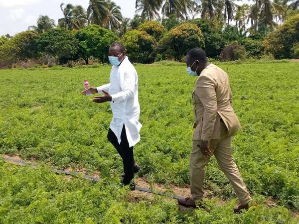 Secteur de l'agriculture au Bénin : La campagne agricole 2021-2022 officiellement lancée