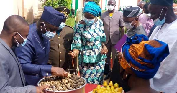 Commercialisation des noix de cajou au Bénin : La campagne 2020-2021 officiellement lancée à Kétou