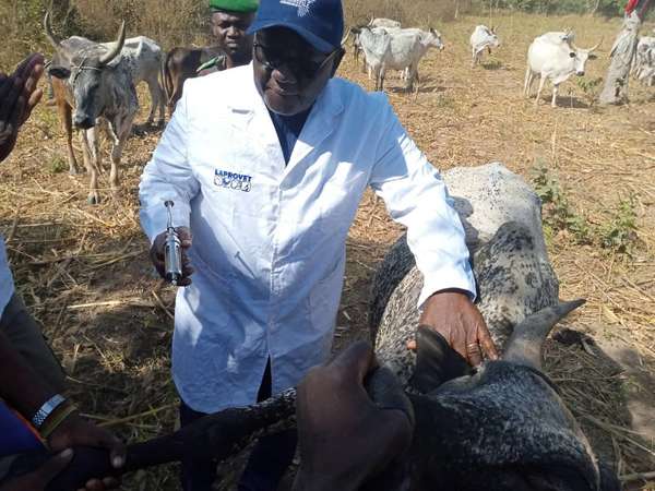 Vaccination des bovins et insémination artificielle : Le Ministre DOSSOUHOUI a procédé à un double lancement des campagnes
