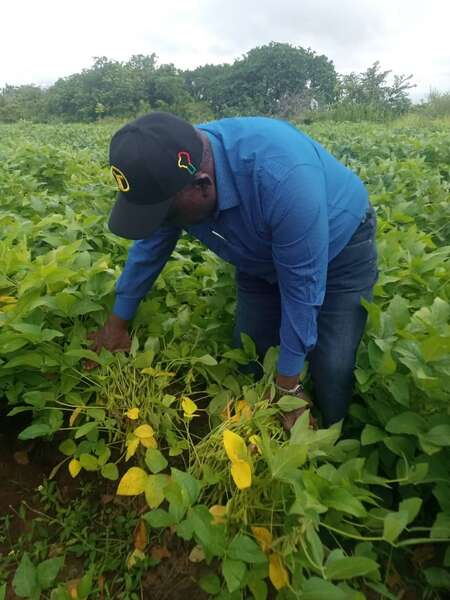 Pratique de l’agriculture : Des membres du Gouvernement donnent l’exemple