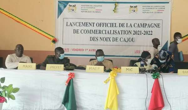 Campagne 2021-2022 : La commercialisation des noix de cajou lancée à Bassila