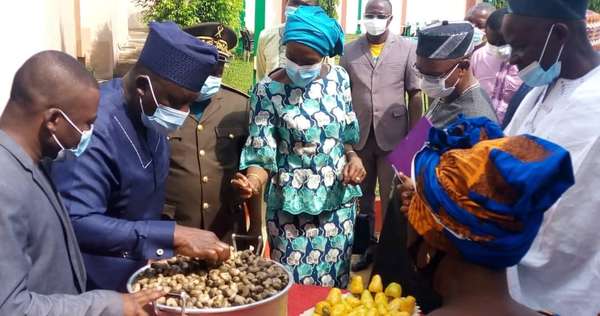 Commercialisation des noix de cajou au Bénin