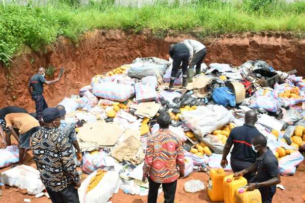 Lutte contre la criminalité au Bénin : L’ANRACS détruit une quantité importante de stupéfiants à Ouèssè