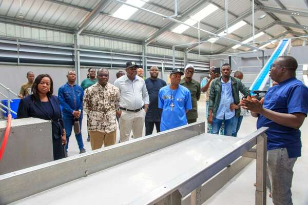 Secteur agricole : Le Bénin mise sur la transformation locale de ses productions